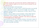 가족치료의 이론과 발달.ppt 20페이지