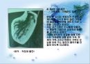가족미술심리치료  21페이지
