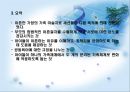 가족미술심리치료  47페이지