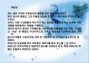 가족미술심리치료  54페이지
