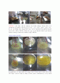 [미생물학실험] 미생물 CMC 배지와 Starch배지에서의 균 배양 1페이지