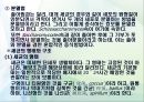 미생물의 분류.ppt 19페이지