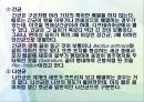 미생물의 분류.ppt 21페이지