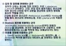 미생물의 분류.ppt 29페이지