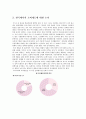 미국의 로비제도와 우리나라의 로비제도 도입  5페이지