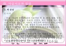 미술 치료 23페이지