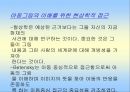 아동미술심리이해 (아동 그림에 대한 역사적 관점) 44페이지