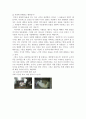 인간 동물실험  4페이지