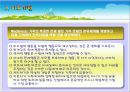 전략적 가족치료.ppt(전략적 가족치료, 가족치료, 가족, 전략적 가족치료 발달과정, 전략적 가족치료 개념, 전략적 가족치료 이론, 전략적 가족치료 사례, 전략적 가족치료과정, 전략적 가족치료 치료기법) 46페이지