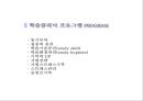 특수한 학습자 (영재아 피피티, ppt) 20페이지