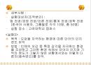 환경이 언어의 인지와 기억에 미치는 영향.ppt 24페이지