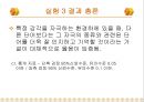 환경이 언어의 인지와 기억에 미치는 영향.ppt 46페이지
