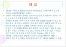 해리성 장애 9페이지