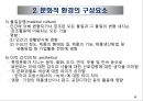 문화적 환경의 분석 - 클럭크혼과 스트로드벡의 모형.PPT자료 6페이지