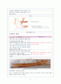[건강사정] 말초혈관계와 림프계 9페이지
