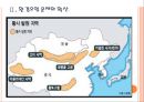 [중국환경오염] 중국 대기오염 문제의 심각성과 해결방안.PPT자료 7페이지