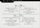 탐스슈즈 TOMS 마케팅 SWOT,STP,4P전략분석과 탐스슈즈 성공요인분석과 브랜드분석 및 보완점 PPT자료 11페이지
