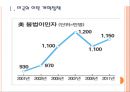 [미국이민자] 미국 불법이만자 문제와 해결방안.PPT자료 3페이지
