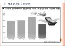 [미국이민자] 미국 불법이만자 문제와 해결방안.PPT자료 11페이지