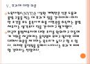[미국이민자] 미국 불법이만자 문제와 해결방안.PPT자료 17페이지