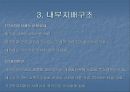 재벌 개혁 및 기업의 지배 구조 개혁과 그 평가 18페이지