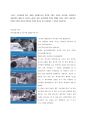 광고는 소비자에게 많은 정보를 제공함으로써 유익한 측면도 있지만 과소비를 조장하거나 비윤리적인 내용으로 광고에 노출되는 많은 사람들에게 부정적 영향을 미치는 경우도 있습니다. 유익한 측면의 광고와 부정 1페이지