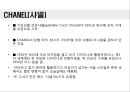 [패션브랜드][브랜드][패션]다양한 패션브랜드(루이뷔통, 샤넬, 디올, 나이키, 푸마, 아디다스, 폴로, 빈폴, 컨버스, 아가타) 사례 분석(루이뷔통, 샤넬, 디올, 나이키, 패션브랜드, 브랜드, 패션, 루이뷔통, 샤넬) 3페이지