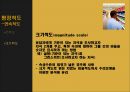 [공학기술] Types of Scales & Scaling Techniques.ppt 32페이지