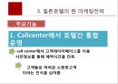 힐튼호텔 호텔경영사례분석 및 힐튼 마케팅전략 분석 자료.ppt 10페이지