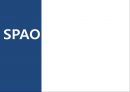 SPAO 스파오 마케팅사례조사및 마케팅 전략제안 1페이지