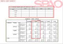SPAO 스파오 마케팅사례조사및 마케팅 전략제안 22페이지
