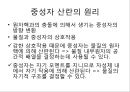 [중성자 산란][중성자 발견][중성자 붕괴]중성자 산란(중성자 산란, 중성자 산란 원리, 중성자 발견, 중성자 특성, 중성자 수, 중성자 붕괴, 중성자 만드는 방법, 핵과 중성자산란, 중성자검출, 중성자응용) 3페이지