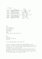21세기 인재되기 셀프리더_비전_세우기 7페이지