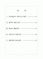 [아이돌보미사업]아이돌보미 서비스의 지원확대에 따른 영향 보고서 2페이지
