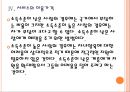 [아이돌보미사업]아이돌보미 서비스의 지원확대에 따른 영향 PPT자료 16페이지