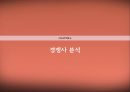 담배를통한 소비자행동분석 29페이지