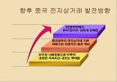 중국 전자상거래의 문제점과 향후 전망 27페이지