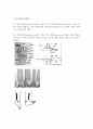[A+] Ankle joint  발목 운동  발 운동  발목 주요 병변  운동치료법  족부 운동치료의 실제  관절의움직임  염좌  부분파열  근육강화  근력강화  수용성운동  족부의 신장 4페이지
