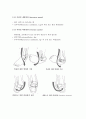 [A+] Ankle joint  발목 운동  발 운동  발목 주요 병변  운동치료법  족부 운동치료의 실제  관절의움직임  염좌  부분파열  근육강화  근력강화  수용성운동  족부의 신장 6페이지
