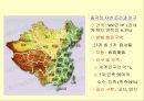 [A+] 중화인민공화국 수립배경 - 중국의 자연조건과 인구, 국민당, 공산당 정책, 국공간 세력변화 발생원인, 농민정책, 중공군, 군대, 신국가 건설론, 신민주주의 혁명론, 국민정부의 문제점.ppt 2페이지