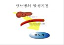 [A+] 비 감영성 질환 - 당뇨병, 심장질환, 고혈압, 심장마비, 뇌졸증, 당뇨병치료 10가지 수칙, 감염질환.ppt 4페이지