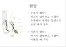 [A+] 비 감영성 질환 - 당뇨병, 심장질환, 고혈압, 심장마비, 뇌졸증, 당뇨병치료 10가지 수칙, 감염질환.ppt 10페이지