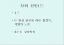 [A+] 암의 예방과 정복 - 암의 유병율, 양성종양, 악성종양, 암의원인, 전파경로, 경고신호, 암의 종류, 위험요인, 예방법, 치료법, 올바른식사법, 유방암직장암결장암백혈병.ppt 5페이지