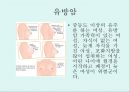 [A+] 암의 예방과 정복 - 암의 유병율, 양성종양, 악성종양, 암의원인, 전파경로, 경고신호, 암의 종류, 위험요인, 예방법, 치료법, 올바른식사법, 유방암직장암결장암백혈병.ppt 11페이지