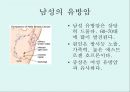 [A+] 암의 예방과 정복 - 암의 유병율, 양성종양, 악성종양, 암의원인, 전파경로, 경고신호, 암의 종류, 위험요인, 예방법, 치료법, 올바른식사법, 유방암직장암결장암백혈병.ppt 14페이지