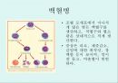 [A+] 암의 예방과 정복 - 암의 유병율, 양성종양, 악성종양, 암의원인, 전파경로, 경고신호, 암의 종류, 위험요인, 예방법, 치료법, 올바른식사법, 유방암직장암결장암백혈병.ppt 17페이지