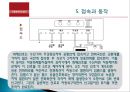 [A+] 화재경보설비 - 자동화재속보설비 조사보고서  속보기  설치대상  설치기준  구성 및 기능  A형 속보기  B형 속보기  특징  접속과 동작  음향장치  시험장치  시험의 종류 8페이지