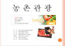 [A+] 농촌관광 사례조사  화천 토마토축제 & 스페인 LATOMATINA 비교분석  부뇰부놀  강원도관광  화천관광  체험관광  SIT  특수목적관광  산천어축제  축제프로그램  이벤트 3페이지