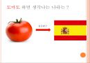 [A+] 농촌관광 사례조사  화천 토마토축제 & 스페인 LATOMATINA 비교분석  부뇰부놀  강원도관광  화천관광  체험관광  SIT  특수목적관광  산천어축제  축제프로그램  이벤트 4페이지