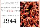 [A+] 농촌관광 사례조사  화천 토마토축제 & 스페인 LATOMATINA 비교분석  부뇰부놀  강원도관광  화천관광  체험관광  SIT  특수목적관광  산천어축제  축제프로그램  이벤트 7페이지